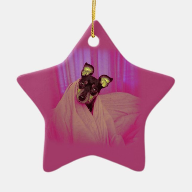 Cute little puppy ceramic ornament (Front)