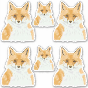 Cute Little Red Fox - transparent 6x custom cut.