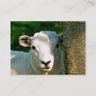 CUTE LITTLE SHEEP BUSINESS CARD