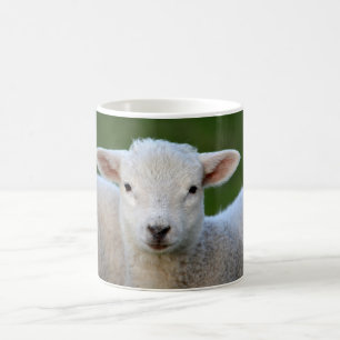 Cute little Sheep Coffee Mug