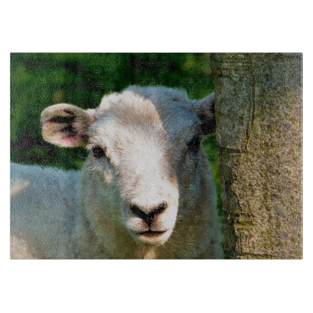 CUTE LITTLE SHEEP CUTTING BOARD (Front)