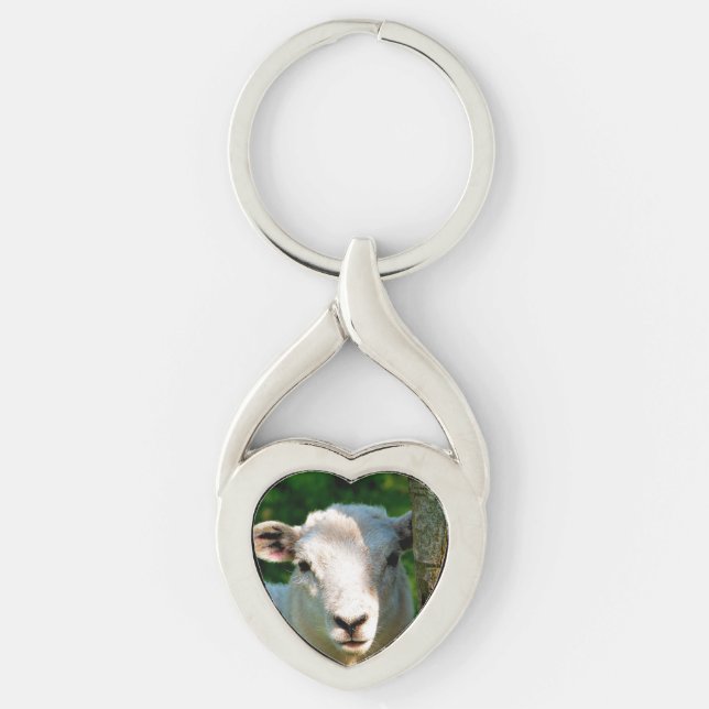 CUTE LITTLE SHEEP KEYCHAIN (Front)