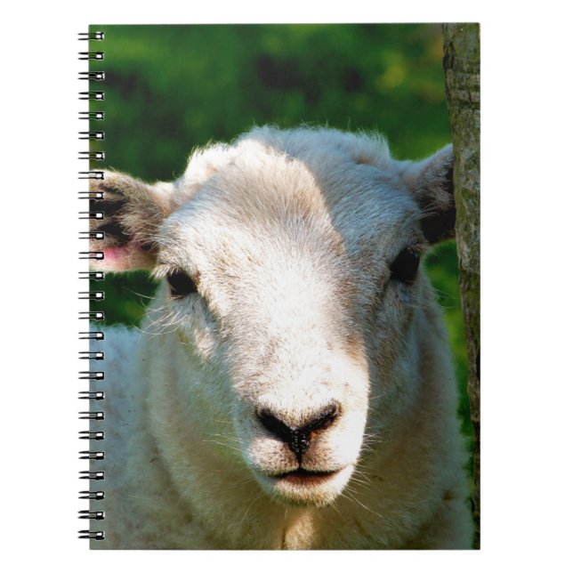 CUTE LITTLE SHEEP NOTEBOOK (Front)