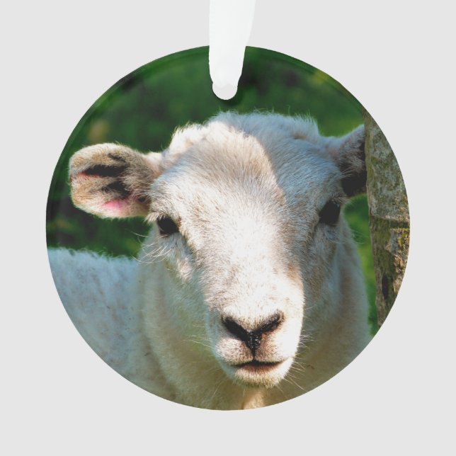 CUTE LITTLE SHEEP ORNAMENT (Front)