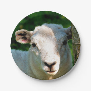 CUTE LITTLE SHEEP PAPER PLATE