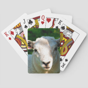 CUTE LITTLE SHEEP PLAYING CARDS