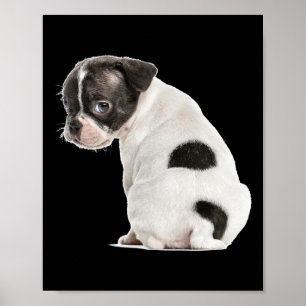 Cute Little Sleepy Puppy Dog Face For Animal Lover Poster