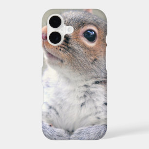 Cute Little Soft and Fluffy Grey Squirrel