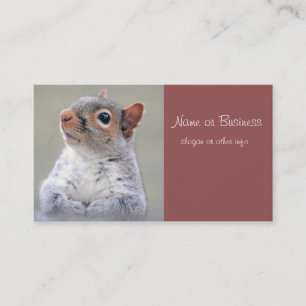Cute Little Soft and Fluffy Grey Squirrel Business Card