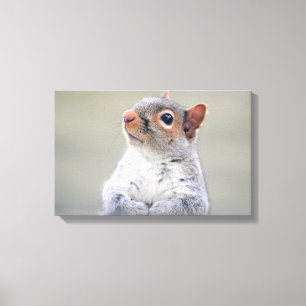 Cute Little Soft and Fluffy Grey Squirrel Canvas Print