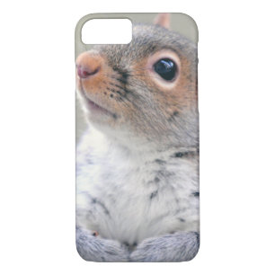 Cute Little Soft and Fluffy Grey Squirrel iPhone 8/7 Case