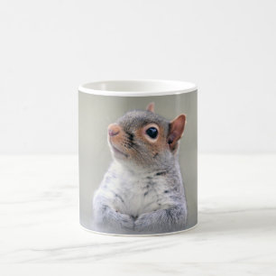 Cute Little Soft and Fluffy Grey Squirrel Coffee Mug