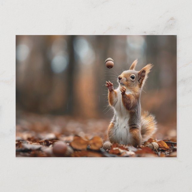 Cute little squirrel catching an acorn postcard (Front)