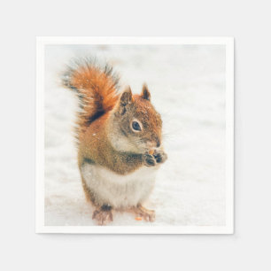 Cute Little Squirrel Eating Nuts Napkin