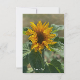 Cute Little Sunflower Card