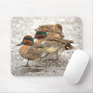 Cute Little Trio of Green-Winged Teals Mouse Pad
