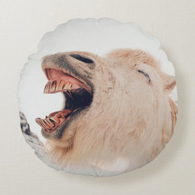 CUTE LLAMA ALPACA LAUGHING ROUND PILLOW (Front)
