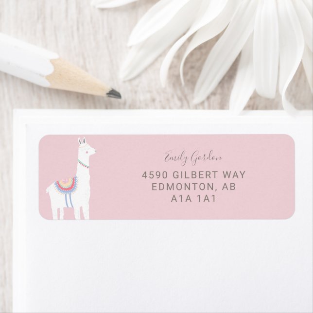 Cute Llama baby shower fille rose et marron (En situation)