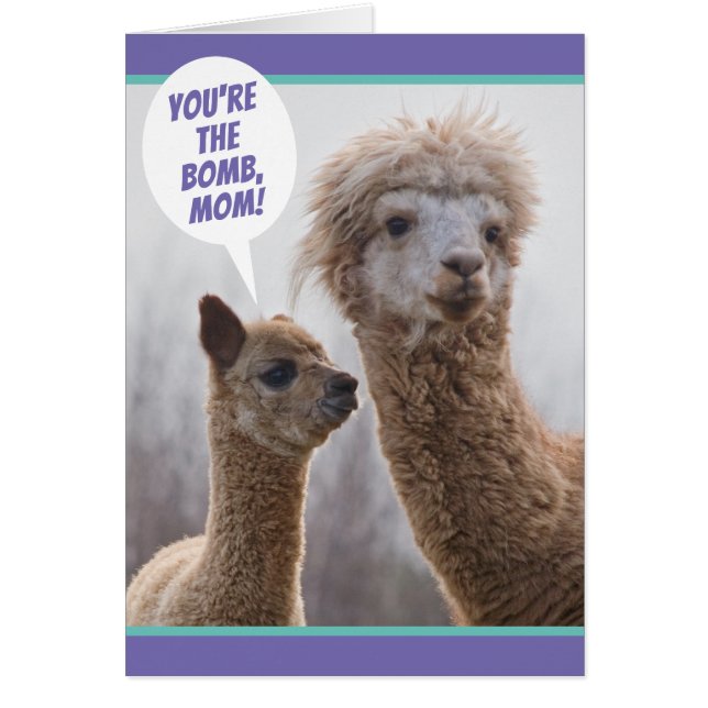 Cute Llama comme ta carte de fête des mères (Devant)