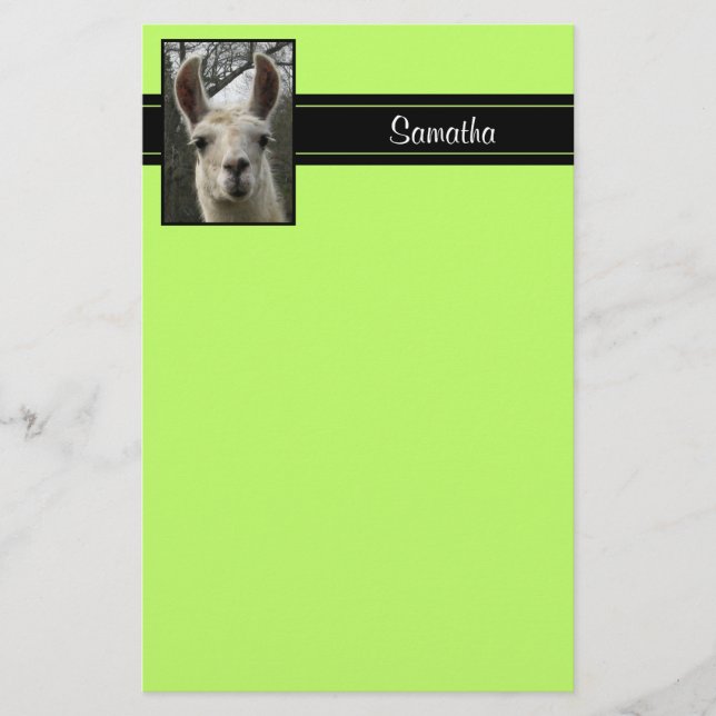Cute Llama Personalized Stationery (Front)
