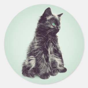 Cute Long Hair Black Kitten Classic Round Sticker