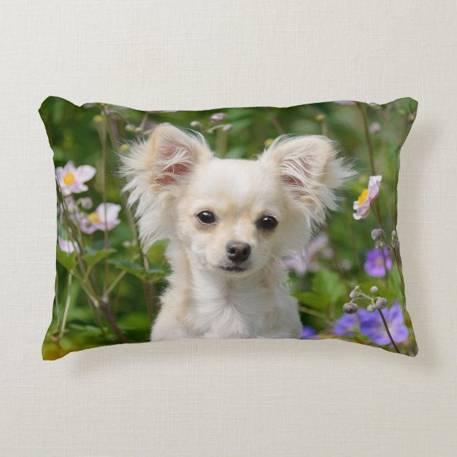 Cute long-haired Chihuahua Dog Puppy Photo - Throw Accent Pillow (Front)