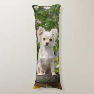 Cute long-haired cream Chihuahua Dog Puppy  cuddly Body Pillow