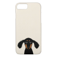 Cute Long Haired Dachshund Puppy