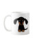 Cute Long Haired Dachshund Puppy Dog