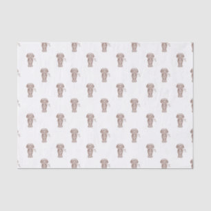 Cute Long Haired Dachshund Sausage Dog Tissue Paper