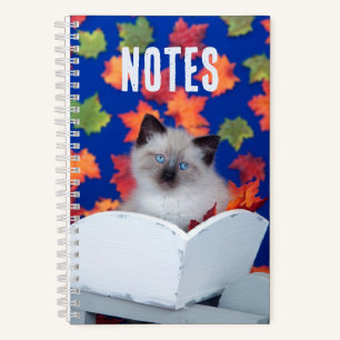 Cute Long-Haired Siamese Cat  Notebook