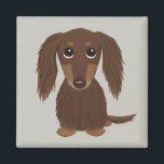 Cute Longhaired Chocolate Brown Dachshund Magnet<br><div class="desc">Cute Dachshund Magnet</div>