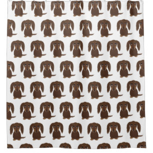 Cute Longhaired Chocolate Brown Dachshund Pattern