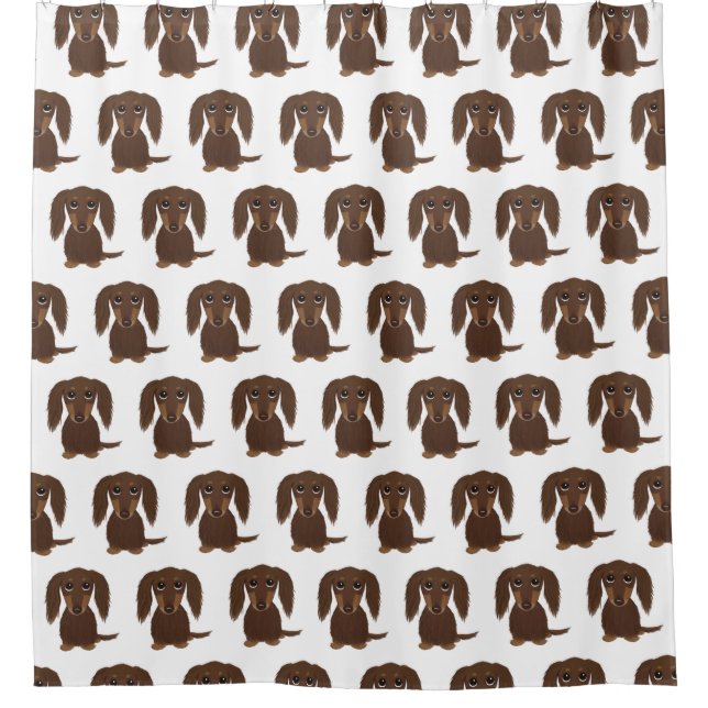 Cute Longhaired Chocolate Brown Dachshund Pattern (Front)