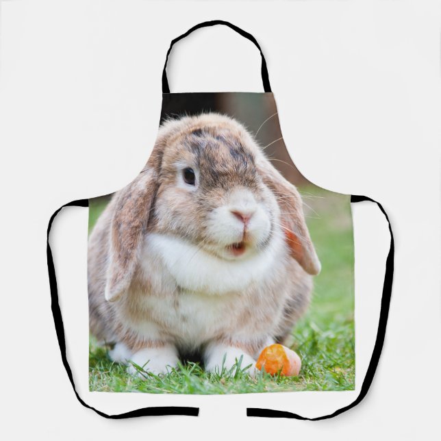 Cute lop-eared rabbit apron (Front)