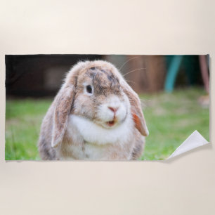 Cute lop-eared rabbit beach towel