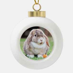 Cute lop-eared rabbit   ceramic ball christmas ornament