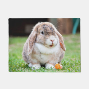 Cute lop-eared rabbit   doormat