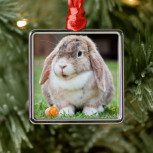 Cute Lop-Eared Rabbit in Grass with Carrot Metal Ornament