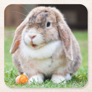 Cute Lop-Eared Rabbit in Grass with Carrot Square Paper Coaster