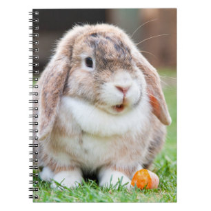 Cute lop-eared rabbit notebook