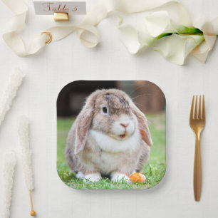 Cute lop-eared rabbit  paper plates