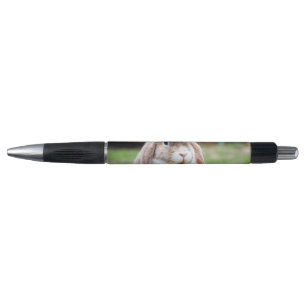 Cute lop-eared rabbit pen