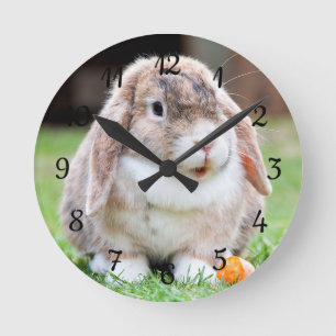 Cute lop-eared rabbit   round clock