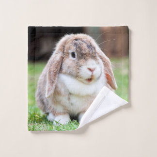 Cute lop-eared rabbit wash cloth