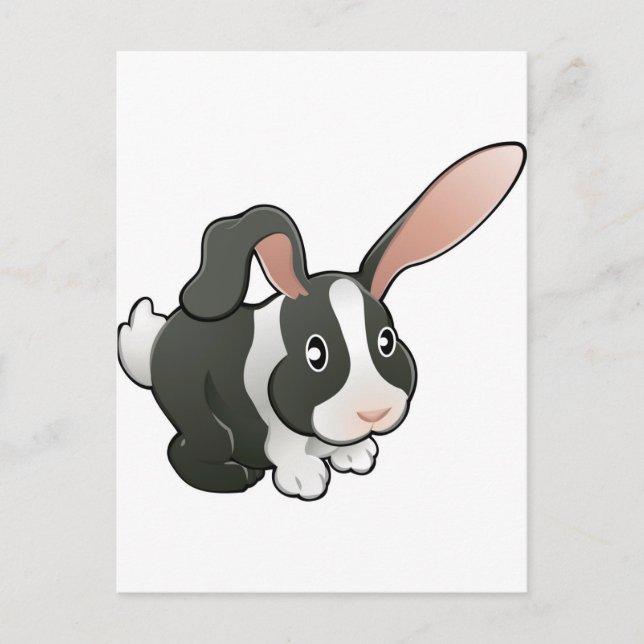 cute lovable bunny rabbit postcard (Front)