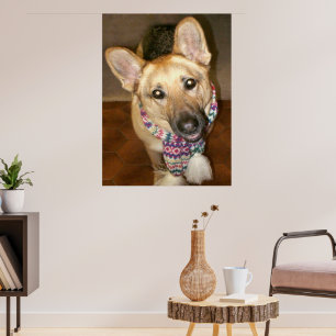 Cute Lovable German Shepherd Dog with Scarf Poster