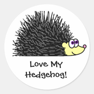 Cute Love My Hedgehog Stickers / Label