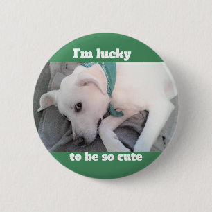 Cute Lucky White Dog Wearing Green Scarf 2 Inch Round Button