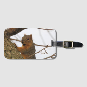 Cute Luggage Tag